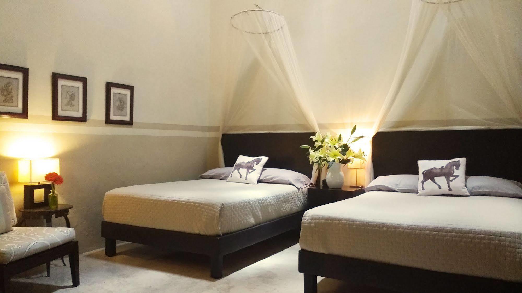 Hotel Decu Downtown Mérida Zewnętrze zdjęcie